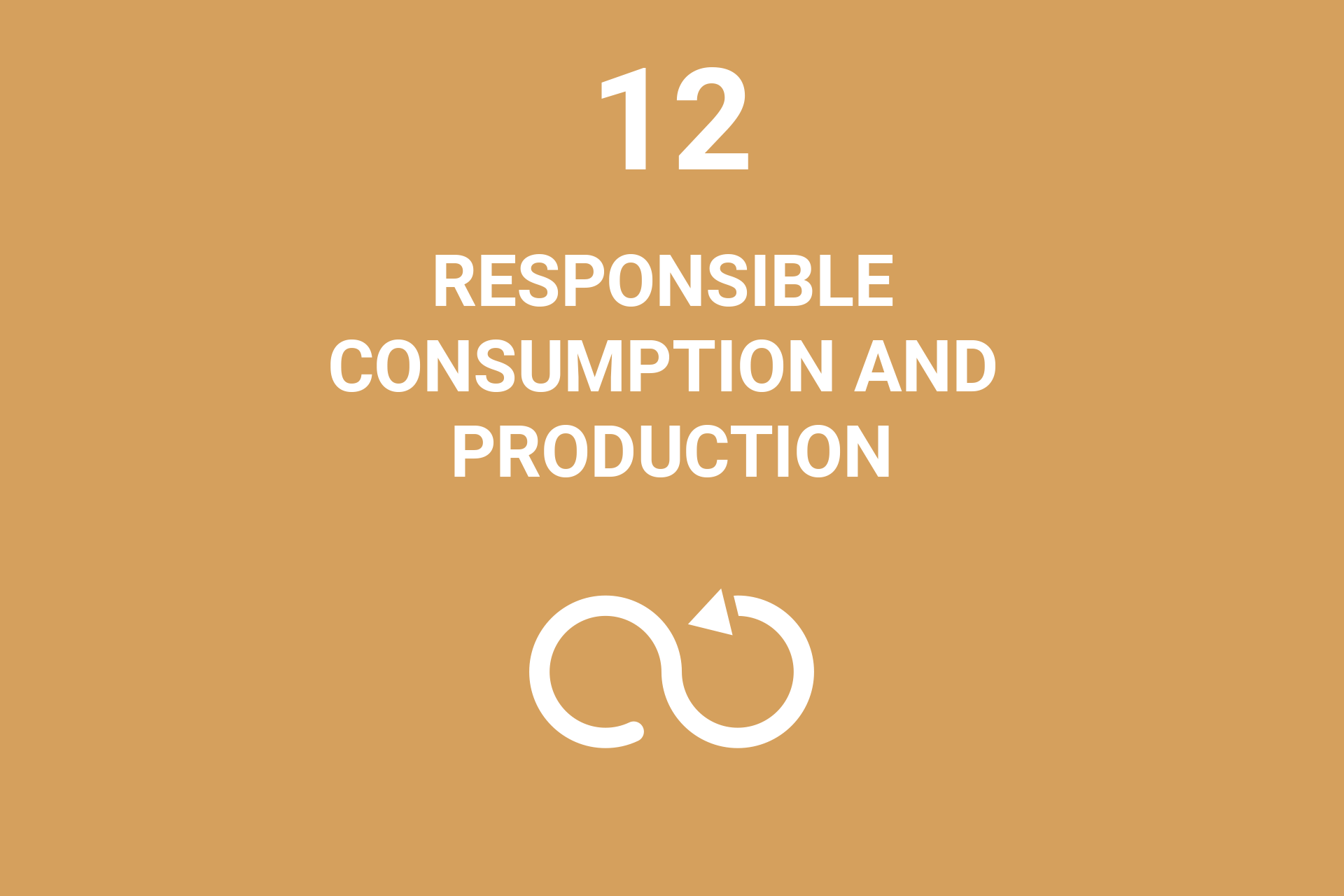 UN Sustainable Development Goals