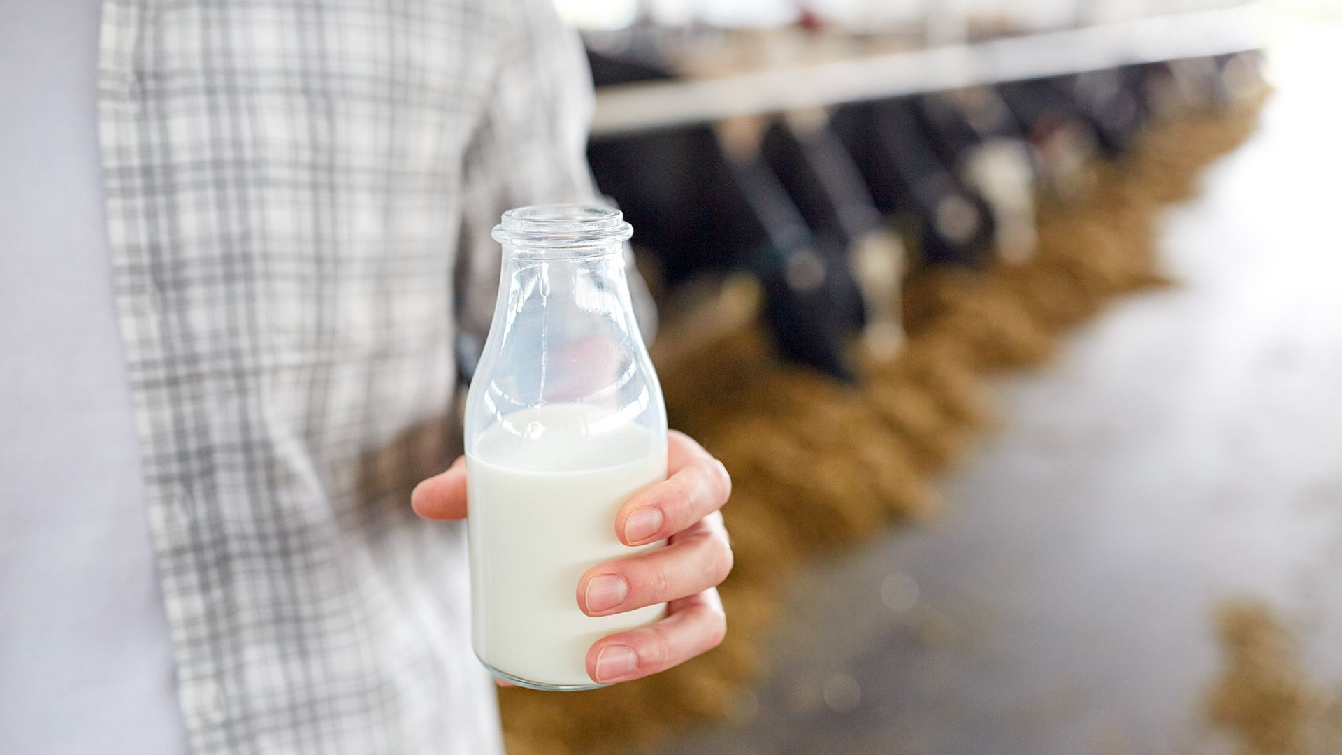 conexión entre los productores de alimentos y los mercados